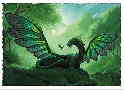 Dragon Shield Sleeves: Standard- Matte Rayalda Art, Limited Edition (100 ct.)