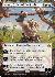 Ajani, Caller of the Pride (Borderless) (Mana Foil)