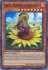 Marina, Princess of Sunflowers